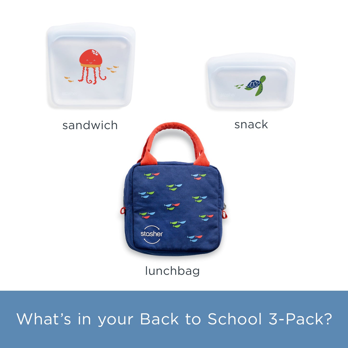Back to School Lunch 3-Pack