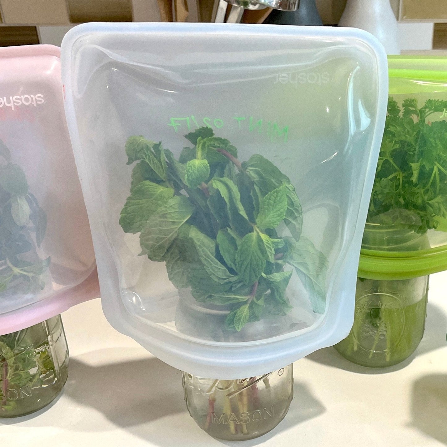 Half Gallon Bag