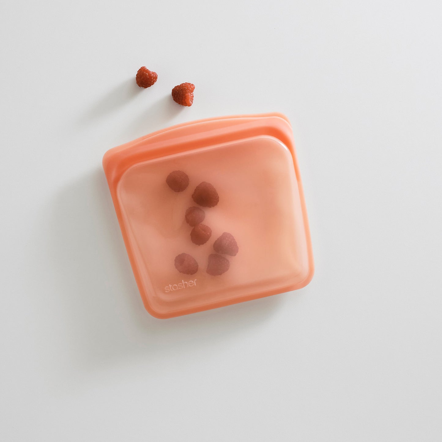 Sandwich Bag