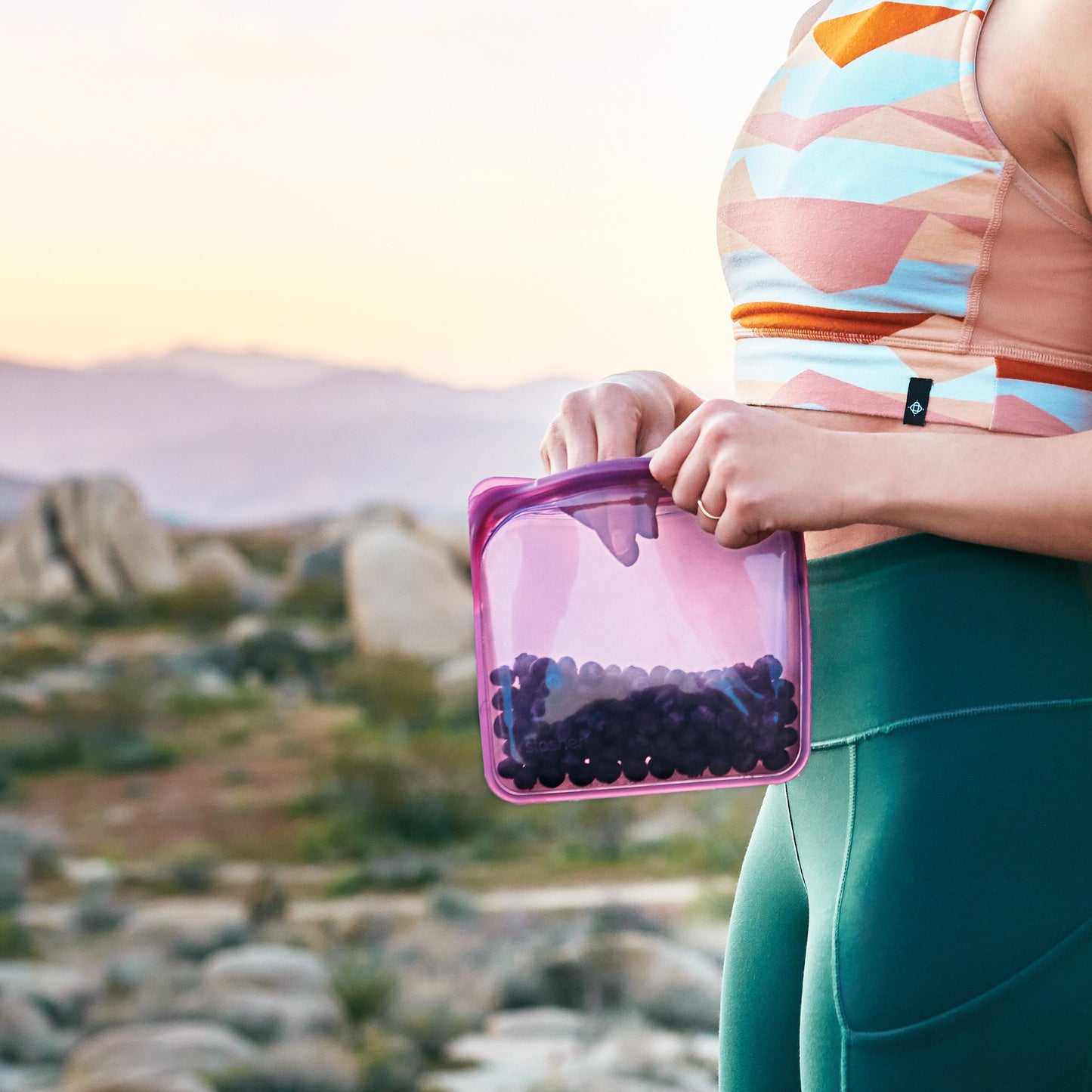 Sandwich Bag