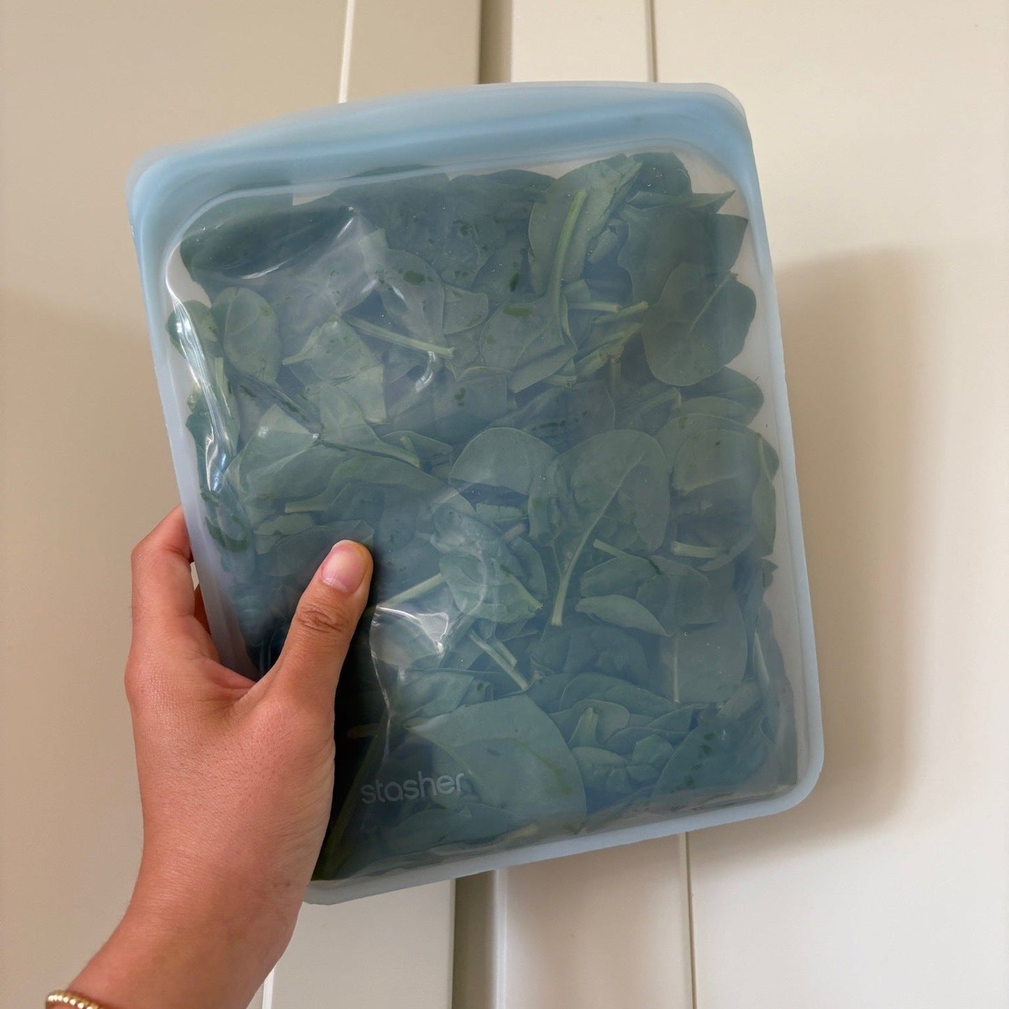 Half Gallon Bag